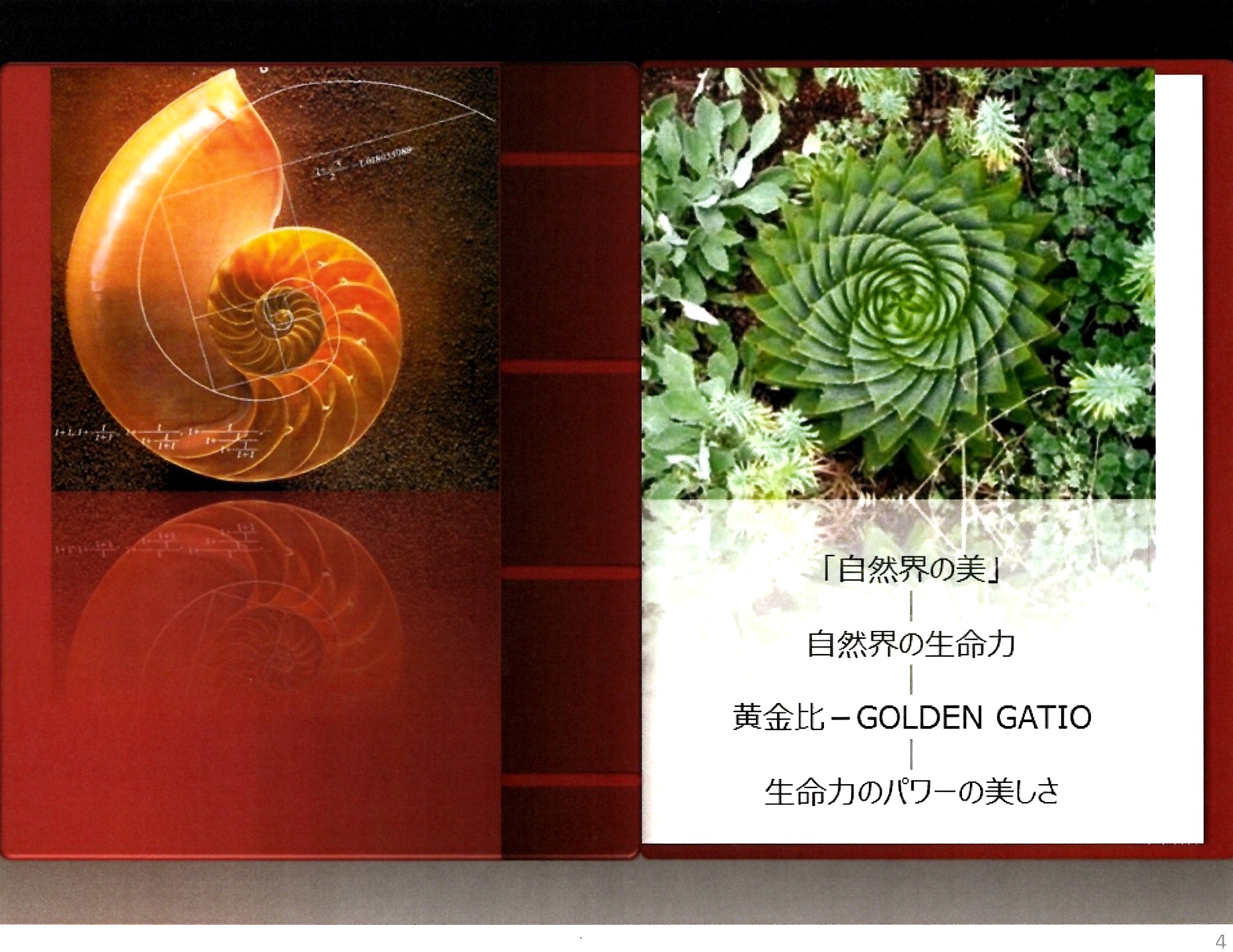 自然界の美と黄金比 HOTEL ALOE GARDEN