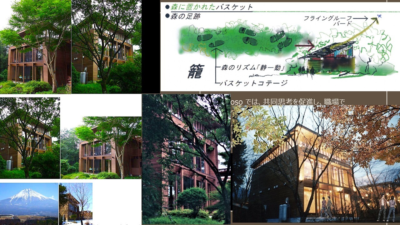 森の木箱と自然環境の関係を示す建築構想