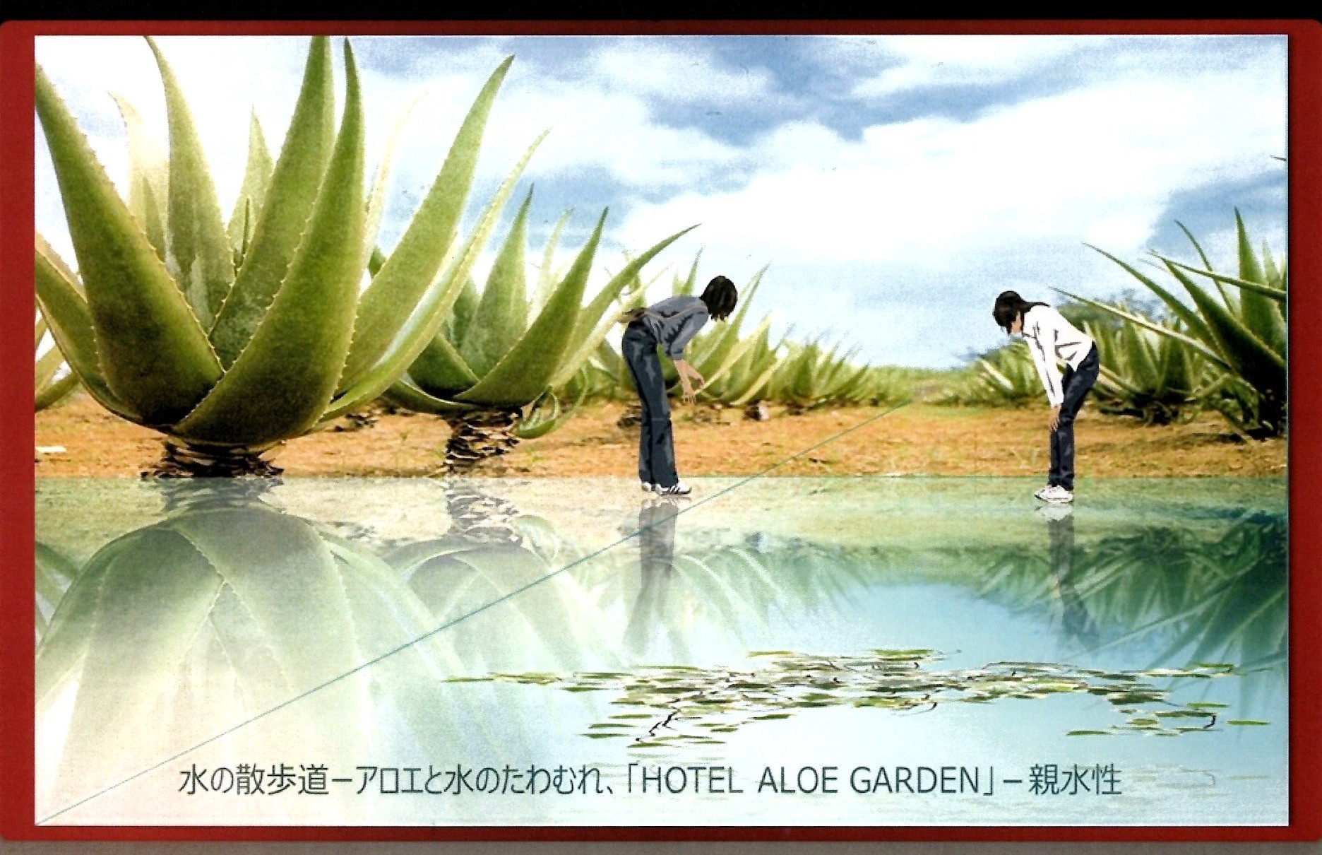 HOTEL ALOE GARDEN 水の散歩道 アロエと水のたわむれ 親水性